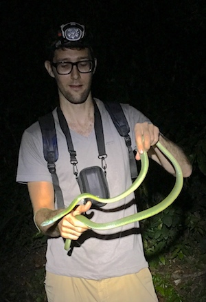 Petzl Ultra Rush flood beam found this big reticulated python for Alex on a herping trip.